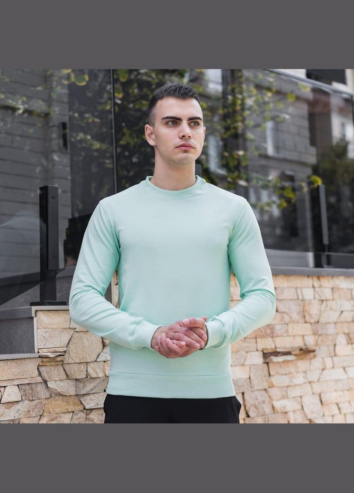 Мятный базовый мужской свитшот однотонный мятный однотонный без декора (342745249)