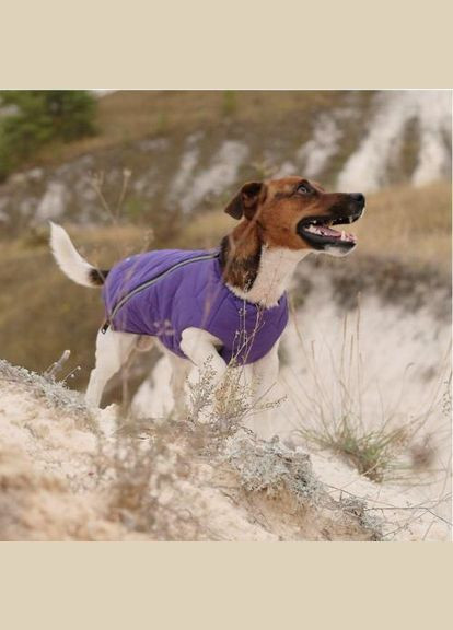 Жилет «E.Vest» для собак, розмір, фіолетовий (*) Pet Fashion (323153983)