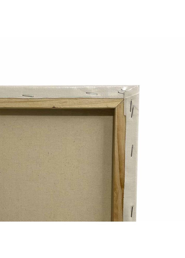 Полотно грунтоване 25 х 60 см, на підрамнику, середнє зерно, бавовна, планка 25х16 мм Artfactory (361860518)