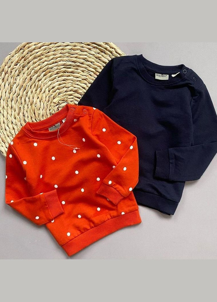 Кофта свитшот набор 2 шт 62-68 см (2-6 мес) темно-синяя, красная Lupilu (315631924)