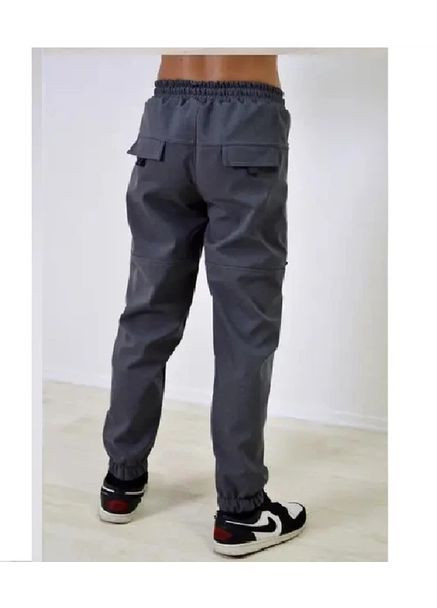 Темно-серые спортивные, повседневный зимние брюки джоггеры Polin Line