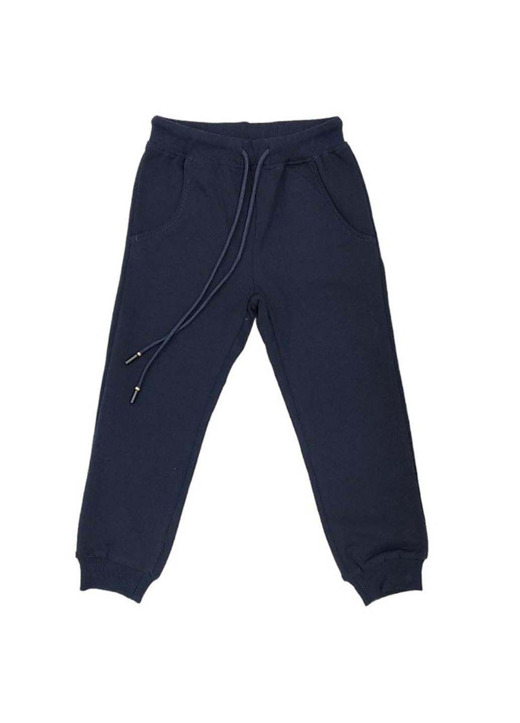 Темно-синие спортивные демисезонные брюки Лио
