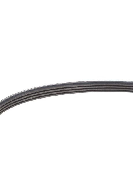 Ремінь генератора Ford Transit 2.0 TDCI 00-06 4PK736 UA63 Dayco (366180193)