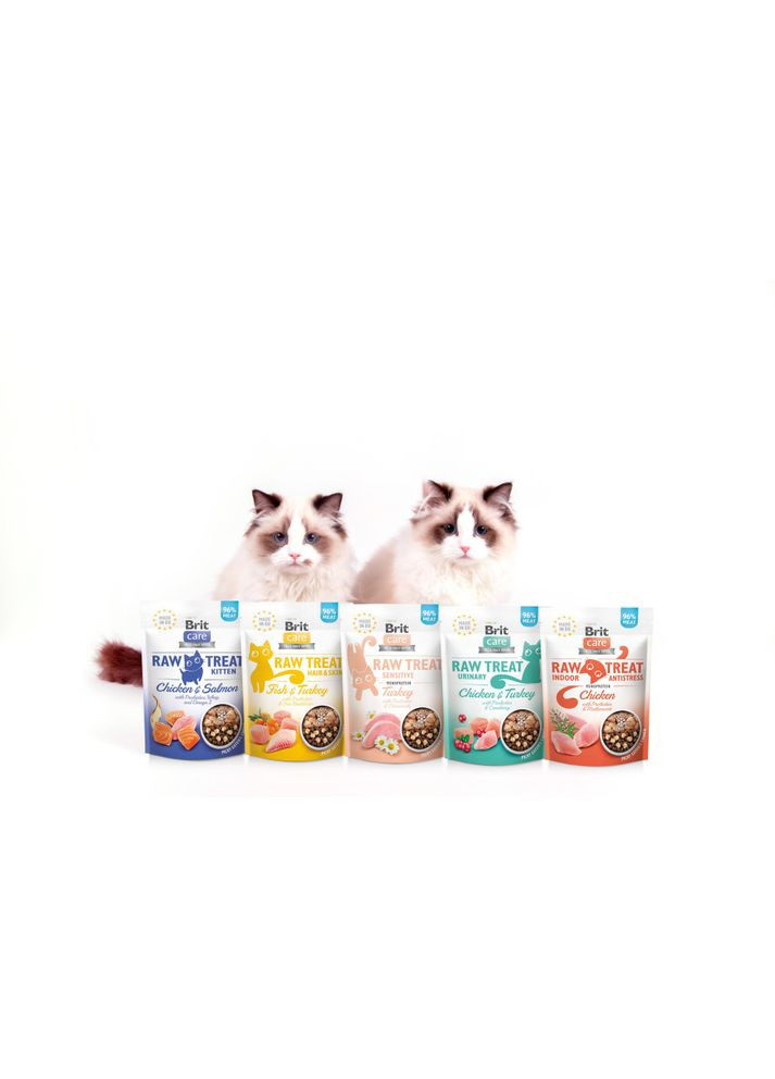 Лакомство для кошек Brit Raw Treat Urinary Freeze-dried с курицей и индейкой, 40 г Brit Care (355255334)