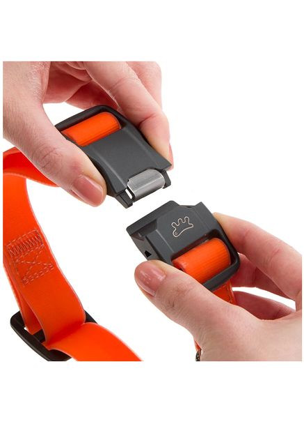 Ошейник для собак Club Reflex C20/56 нейлоновый красный 2х36-56 см 75250322 Ferplast (323224562)