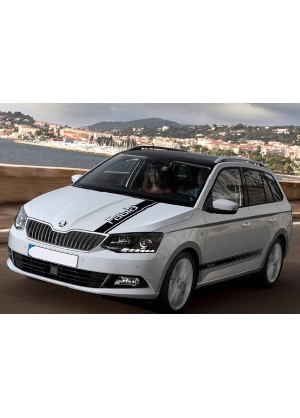 Полосы на авто 3D TUNING STUDIO Шкода Фабиа 980х550х0.060мм No Brand (362500206)