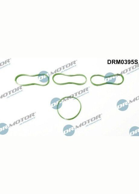 Прокладка автомобільна Dr.Motor (367033940)