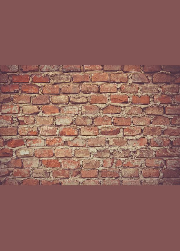 Вініловий фотофон 120х80см, Frontlit 450 г/м2 №56061 PhotoVinyl (354378958)