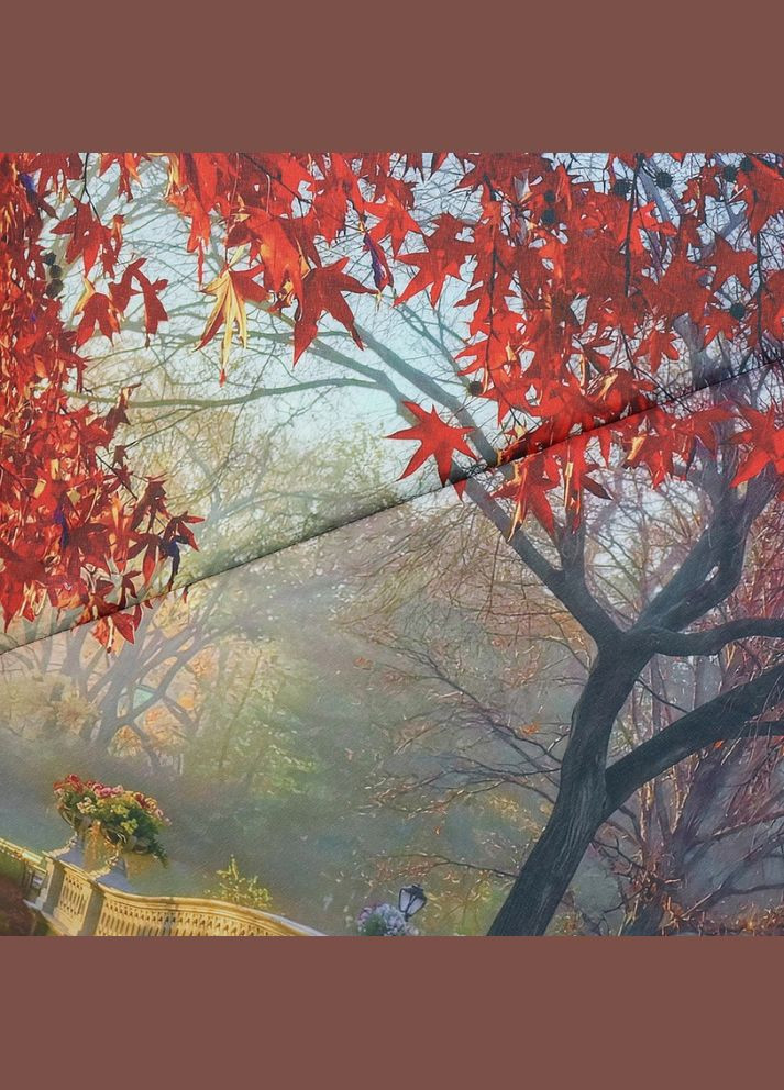 Зелена} жіноча парасолька повний автомат 324742402 Trust (316515989)