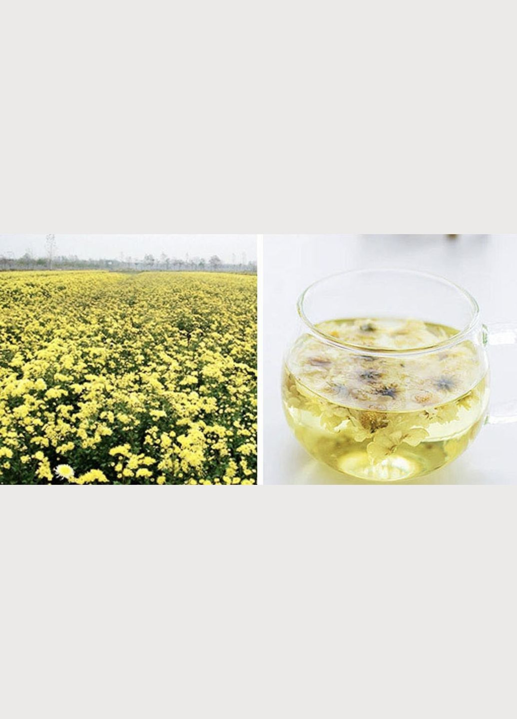 Чай Хризантема Біла Чаєман, вищий сорт липнева, сушені квіти 50 г No Brand (335868482)