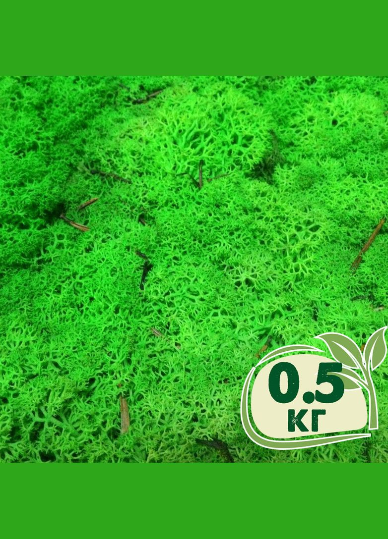 Стабілізований мох ягель Зелений трав'яний світлий 0,5 кг Nordic moss (276401031)