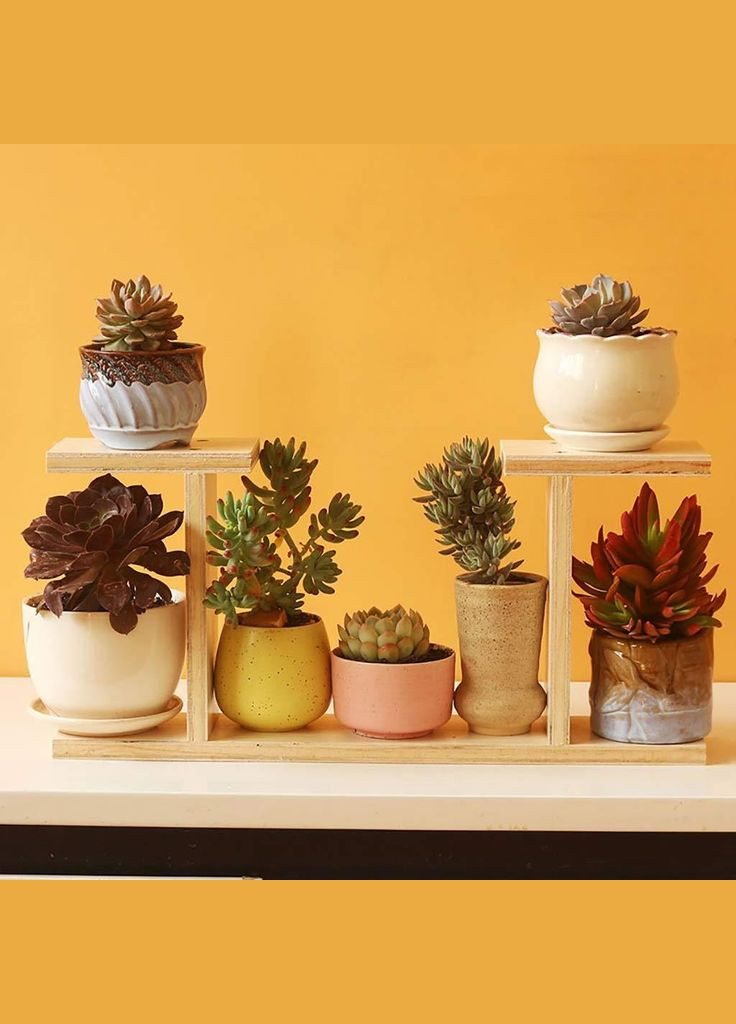 Подставка для цветов из дерева Дения ваниль (ЦВП-006102) No Brand (328224676)