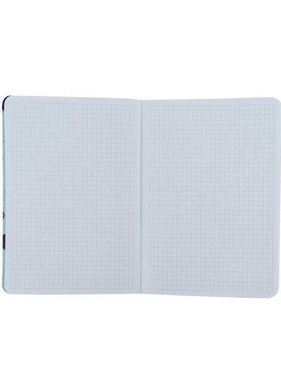 Книга записная Fish, A5, в ячейку, 80 листов, голубовато-красная () Axent 8700-4-A (328449088)