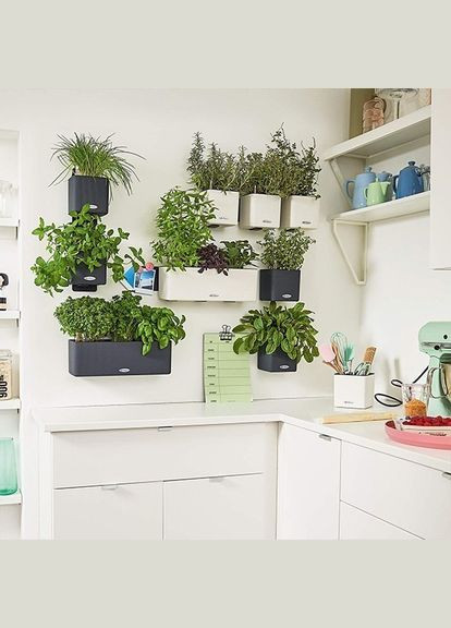 Комплект Green Wall Home Kit Color 48х6х14 см білий 13398 Lechuza (316626870)