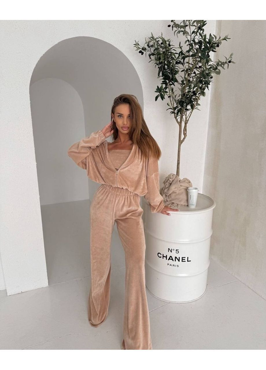 Жіночий велюровий костюм трійка: кофта на блискавці, бандо, штани-палаццо MonCher (366439858)