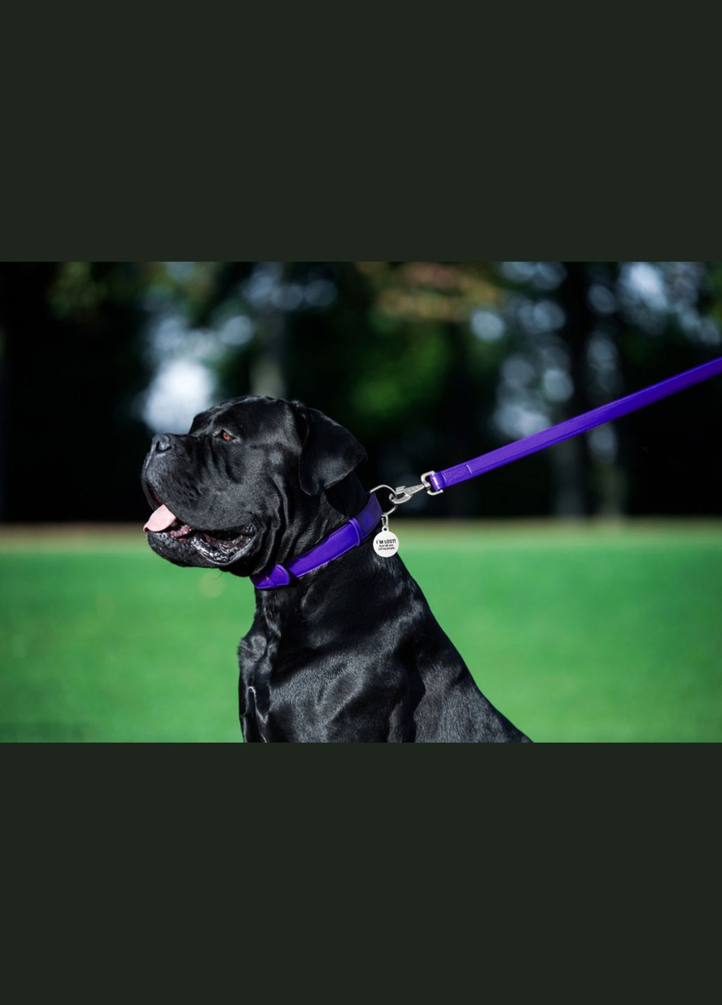 Повідець для собак шкіряний Glamour Ш 25 мм Д 122 см Фіолетовий WAUDOG (279561575)