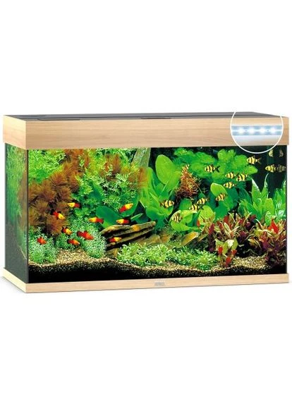 Акваріум Rio 125 LED прямий, 81х50х36 см, 125 л Juwel (337094090)