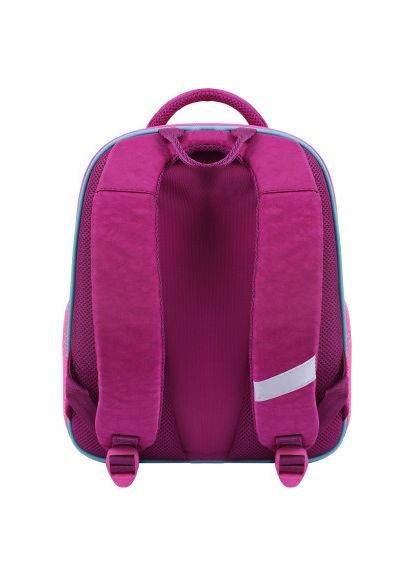 Рюкзак школьный Отличник 20 л. 617 (0058070) (41827192) Bagland Відмінник 20 л. малиновий 617 (0058070) (366698798)