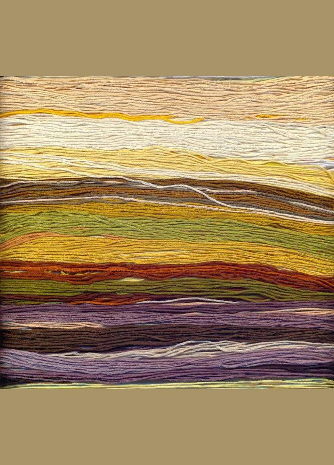 Набор для вышивания по нанесённой на канву схеме"Falcon".AIDA 14CT printed, 60*47 см Joy Sunday (313614536)