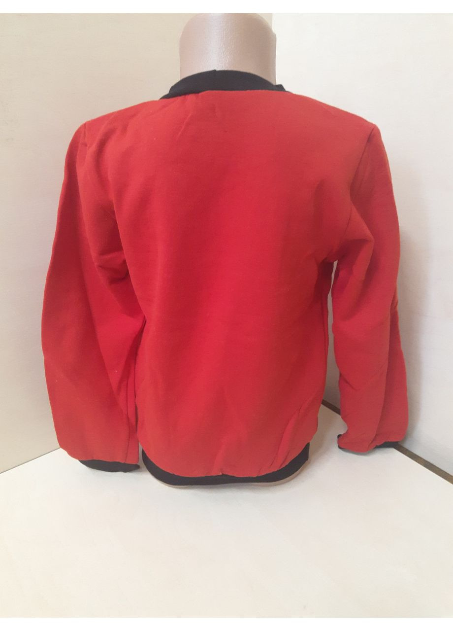 Свитшот детский Новогодний family look для мальчика 92 98 104 110 116 No Brand (366080098)