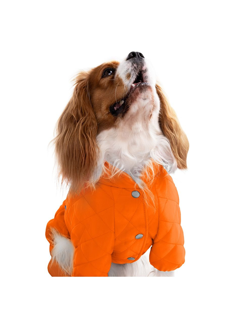 Комбінезон для собак Textile Barksi (370549644)