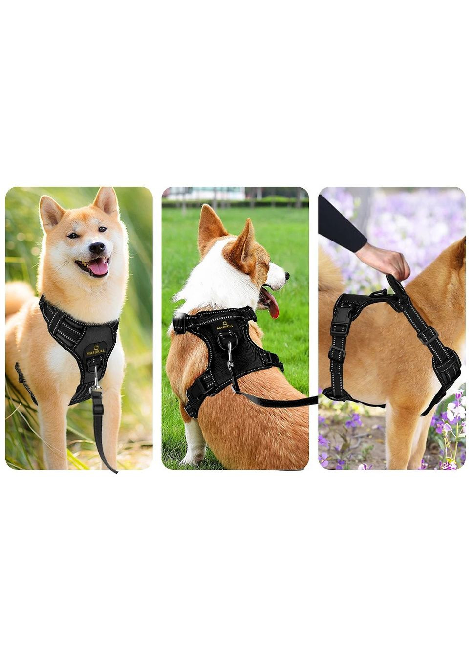 Шлей для собак Masbrill регулируется No Brand (362571924)