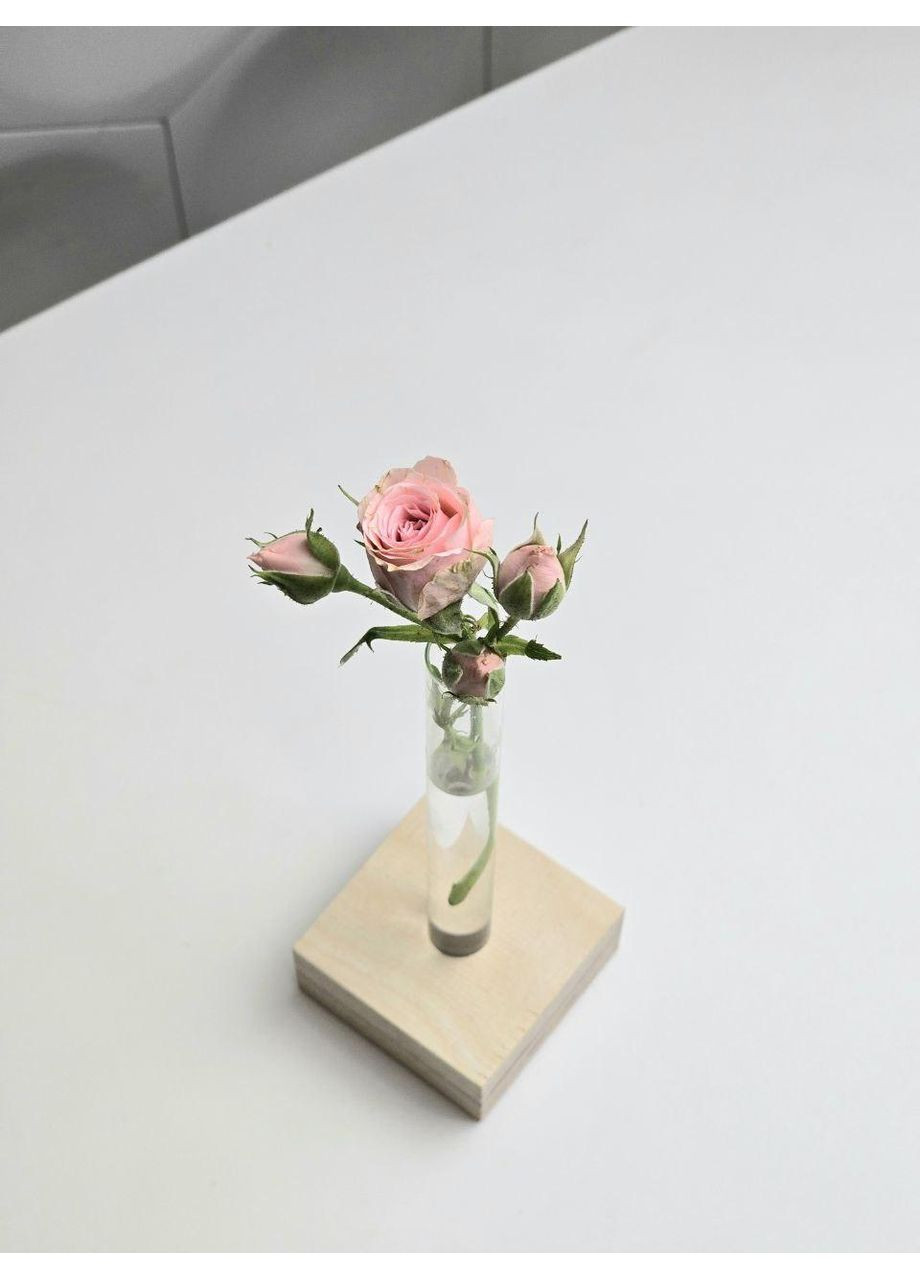 Декоративна ваза-підставка для квітів зі скляними пробірками Maysternya (348319098)