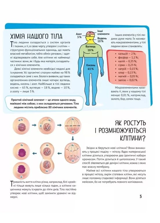 Тело человека Vivat (370077889)