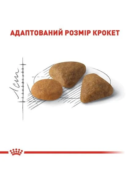 Корм для кошек, привередливых ко вкусу Exigent Savoir 4 кг Royal Canin (298423190)