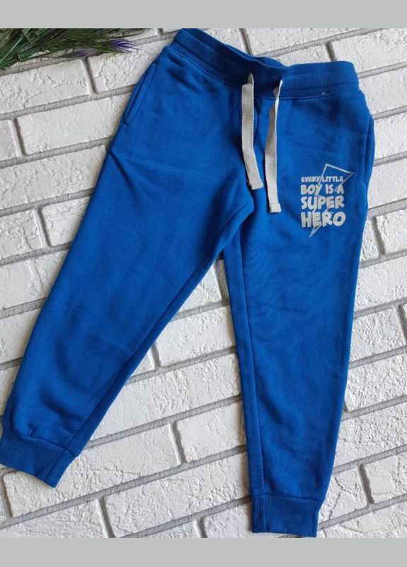 Спортивні штани джоггери утеплені для хлопчика 293642 синій Lupilu (256992569)