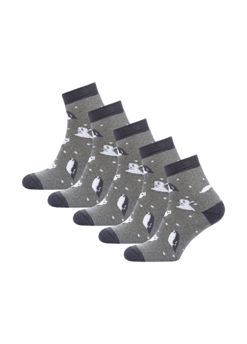 Сірі набір (5 шт) жіночих махрових шкарпеток Siela (303731634)