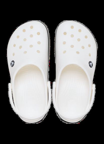 Жіночі крокс Крокбенд Clog Milk Pink Crocs Crocband (347147496)