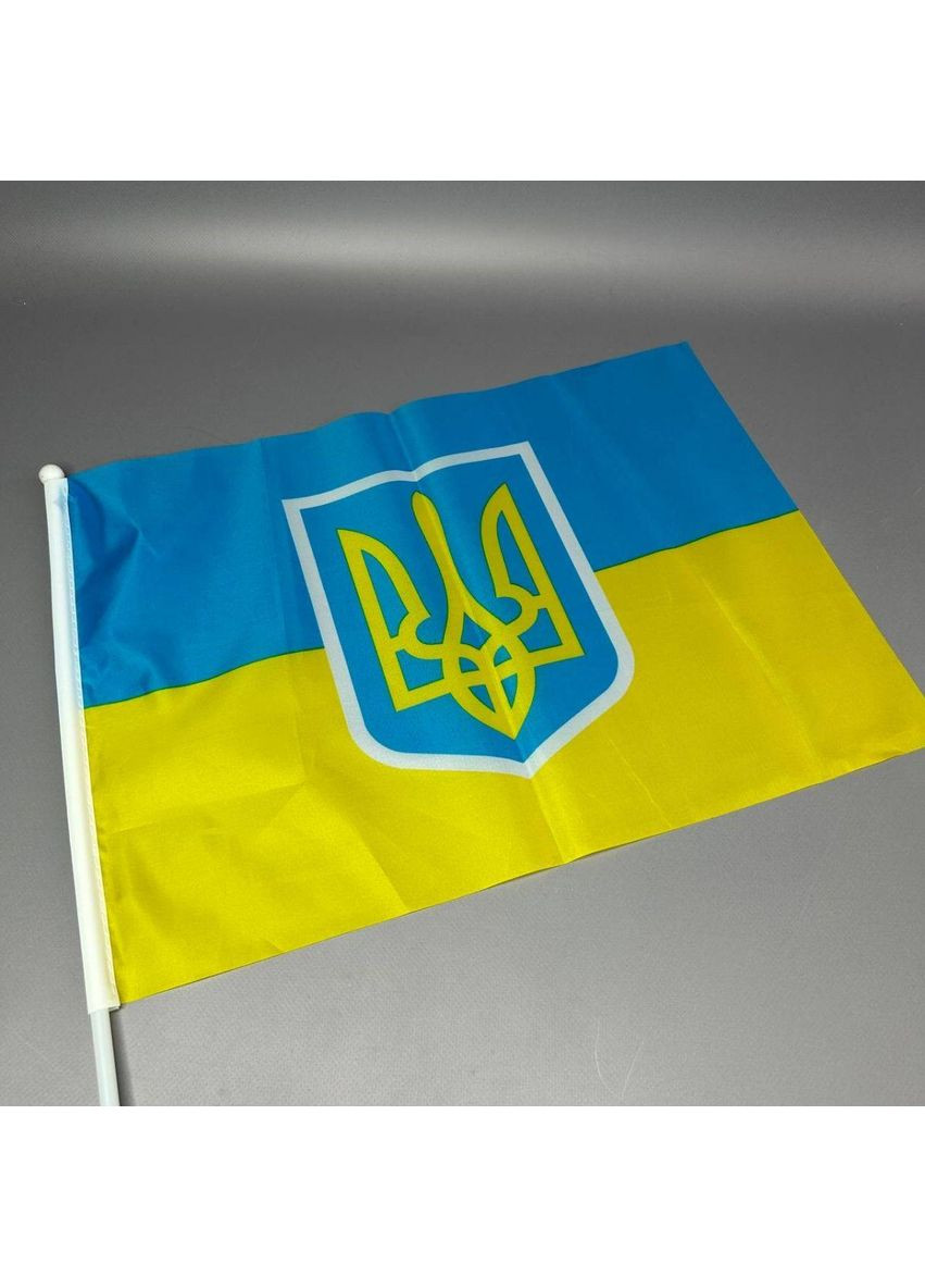 Флаг Украины с трезубцем, 30х45 см Plus-plus (354797222)