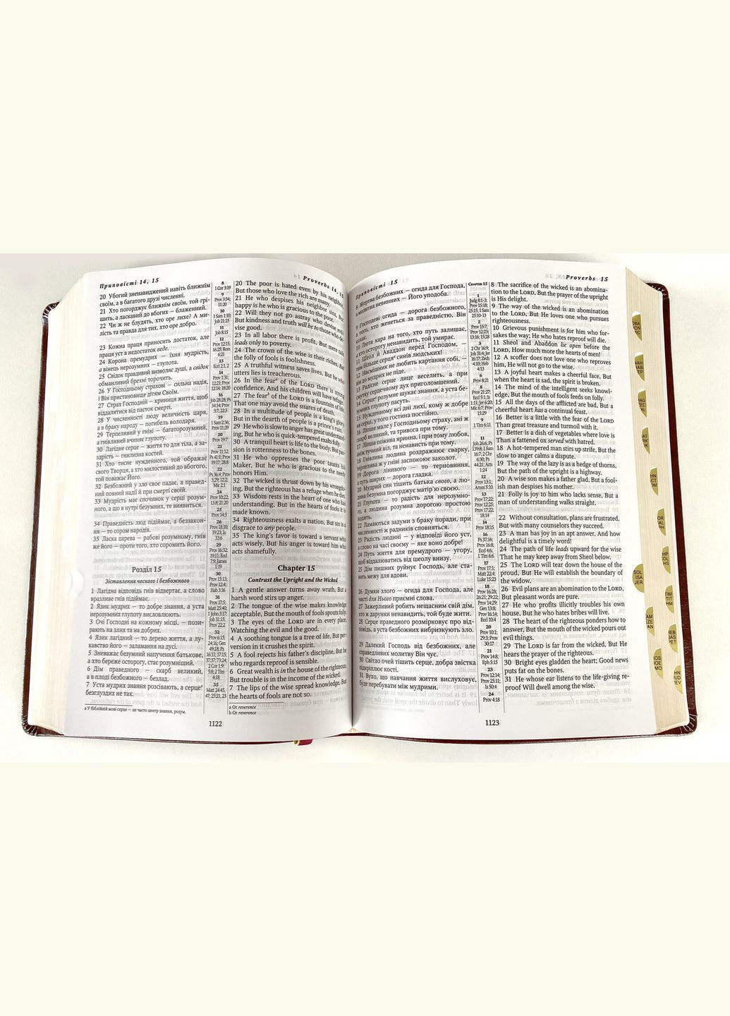 Українсько-англійська Біблія (Огієнко-NASB). Шкіра, індекси, позолота, бордо Українське Біблійне Товариство (356511296)