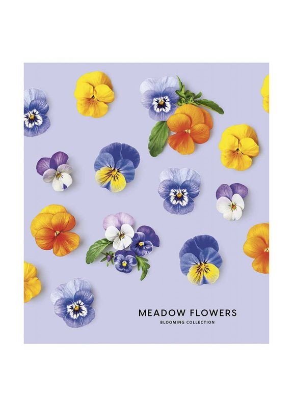Зошит 36 арк. лінія " " / Meadow Flowers Школярик (342416593)