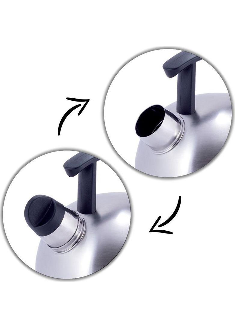 Чайник из нержавеющей стали 1,5л со свистком для чая и чаепития чайник для кипячения воды Kamille (368980841)