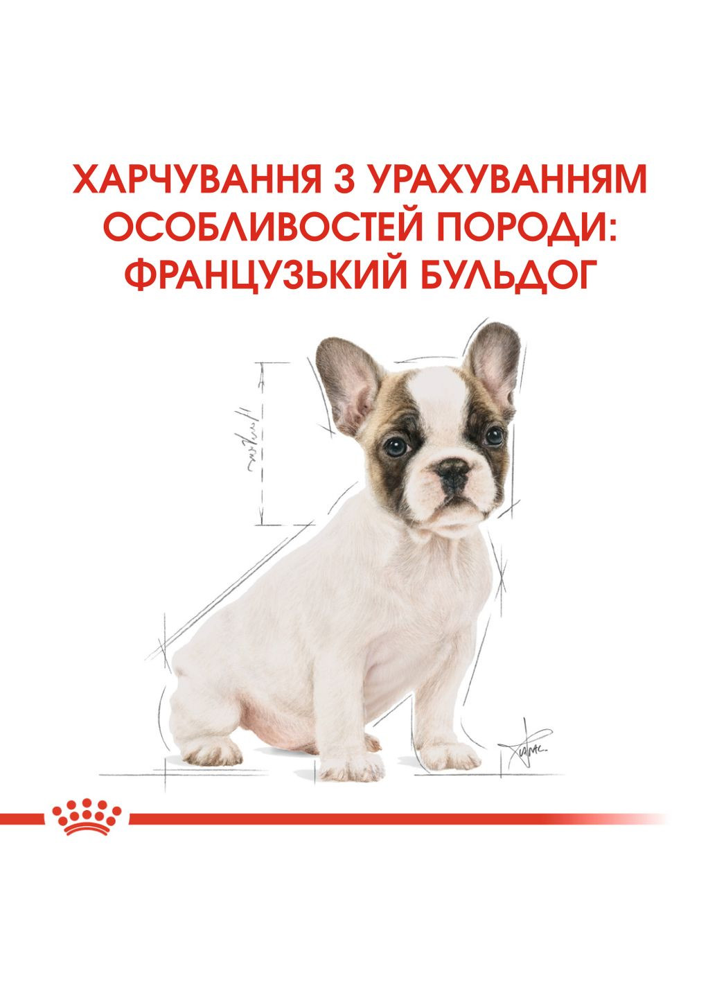 Сухой корм для щенков Французский бульдог French Bulldog Puppy до 12 месяцев 1кг (3182550765220) (39900101) Royal Canin (317171206)