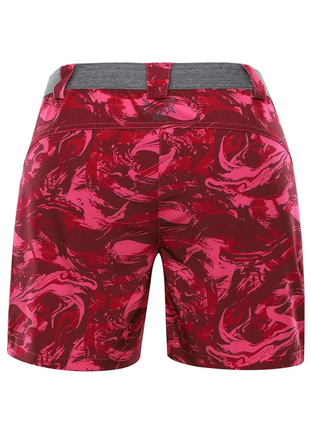 Шорты Zamba Alpine Pro (360429308)