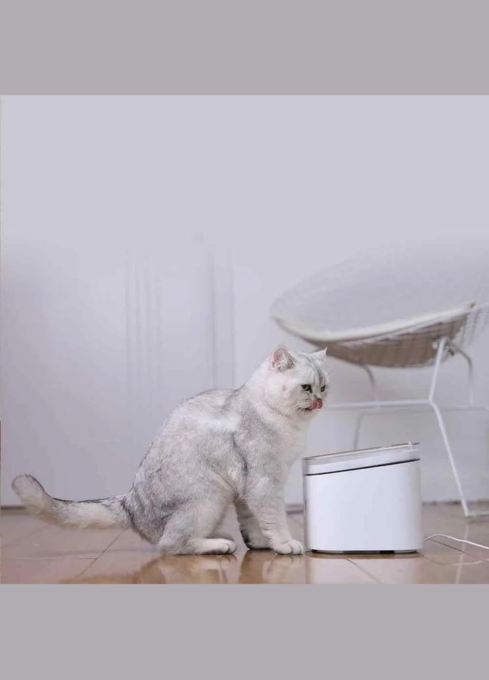 Розумна поїлки для тварин Xiaomi Kitten Puppy Water Dispenser (MGWF001) MiJia (280877909)