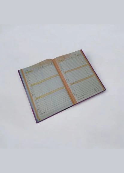 Щоденник шкільний Котик, 55г, 7БЦ, 165х240 мм, 40 арк., Матова ламінація, Вибірковий УФ-лак MANDARIN (390028258)