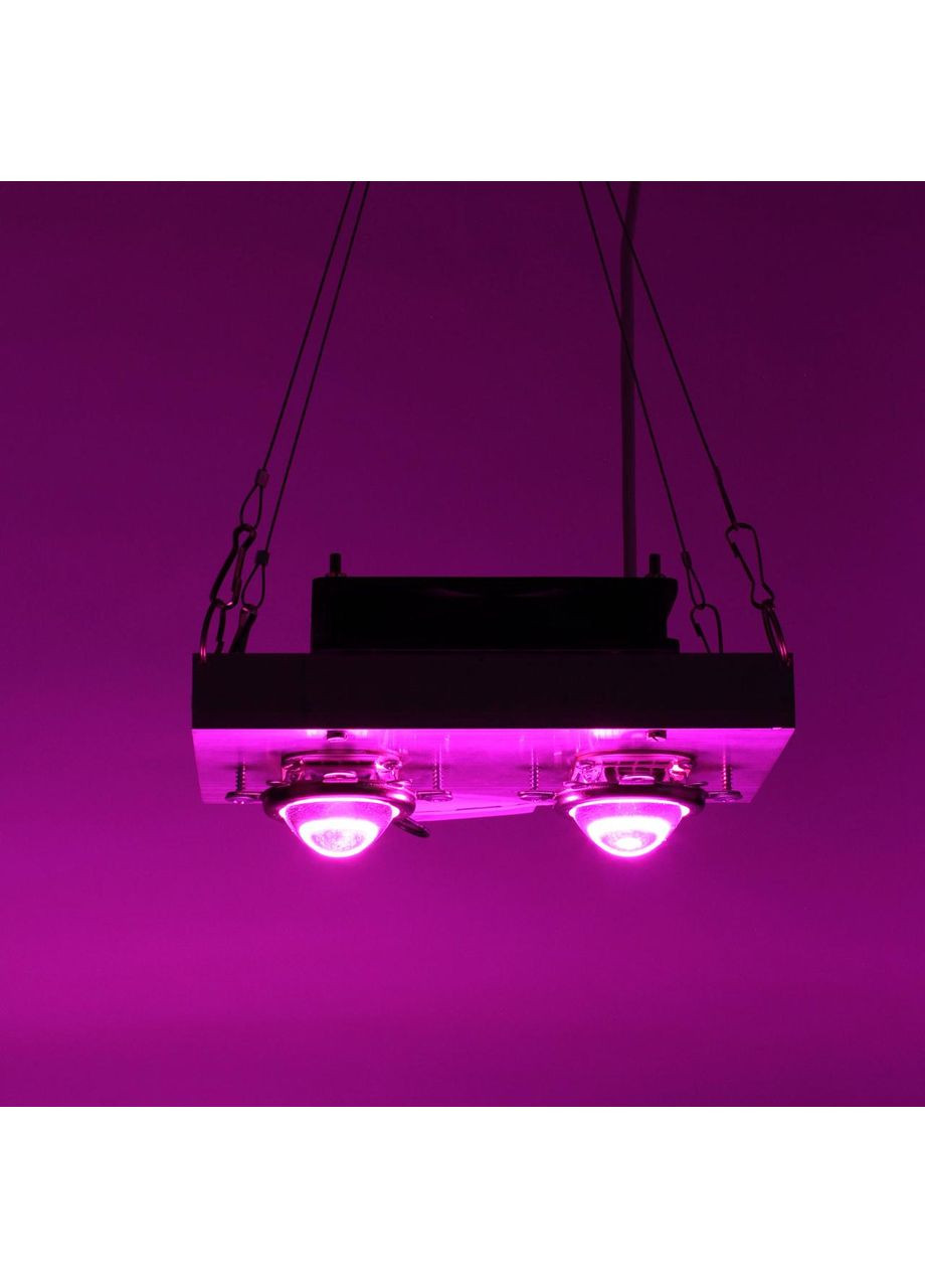 Фітолампа 100 Вт із лінзою для росту рослин, мультиспектр 400-840nm No Brand (368704497)