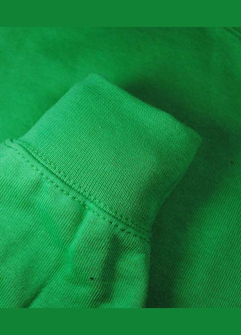 Худи мужской Classic hooded sweat Ярко-зеленый (062208047S) Fruit of the Loom (315938114)