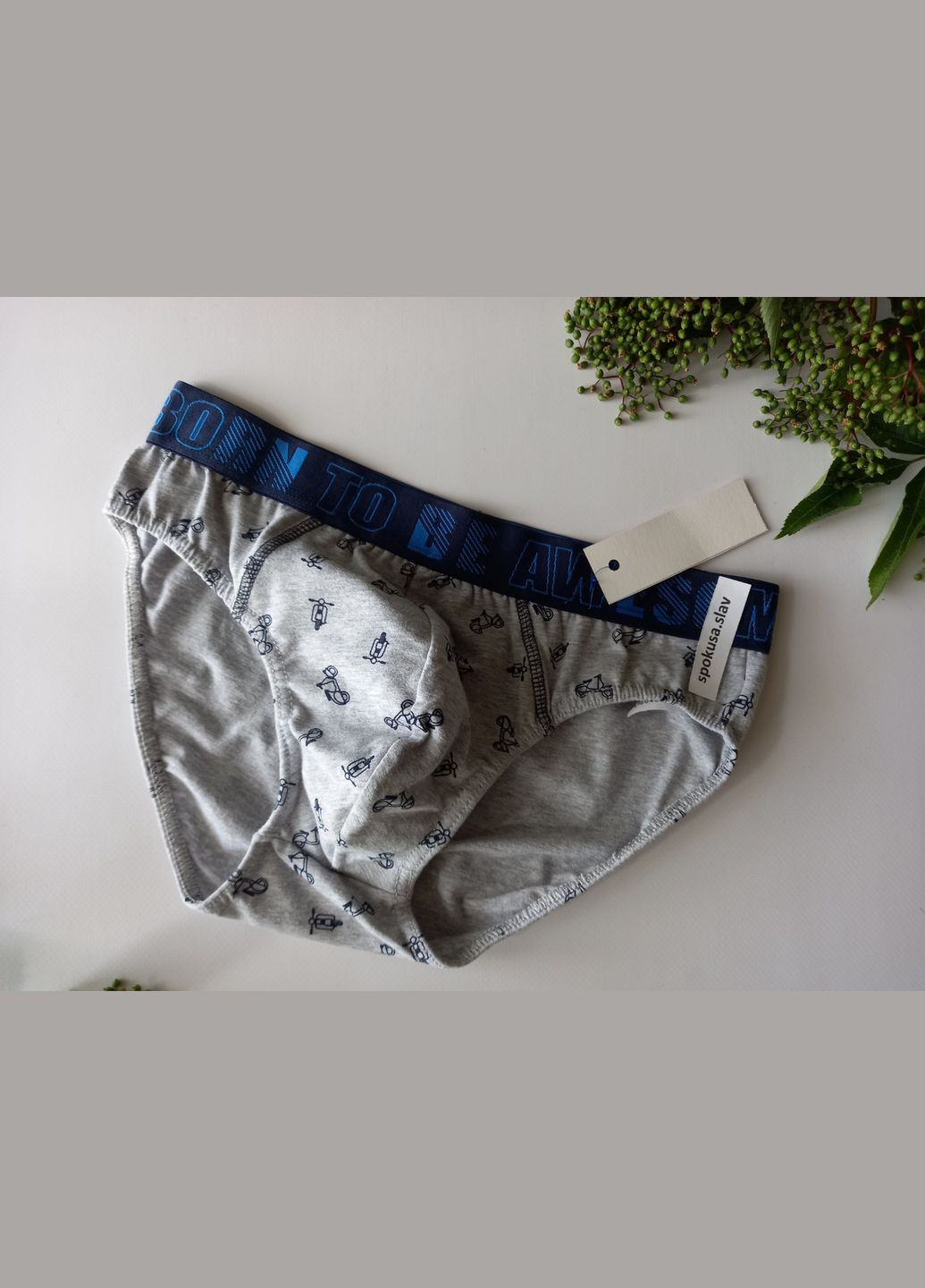 Чоловічі труси сліпи з широкою гумкою 943 розмір Л Lama (368787723)