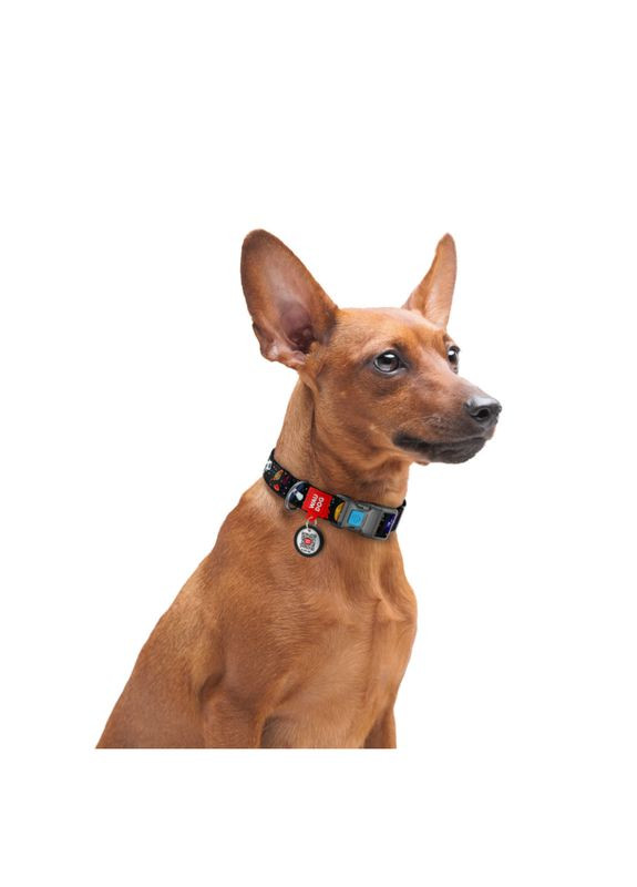 Нашийник для собак нейлоновий WAUDOG Nylon з QR паспортом, малюнок "NASA", пластиковий фастекс Collar (362136112)