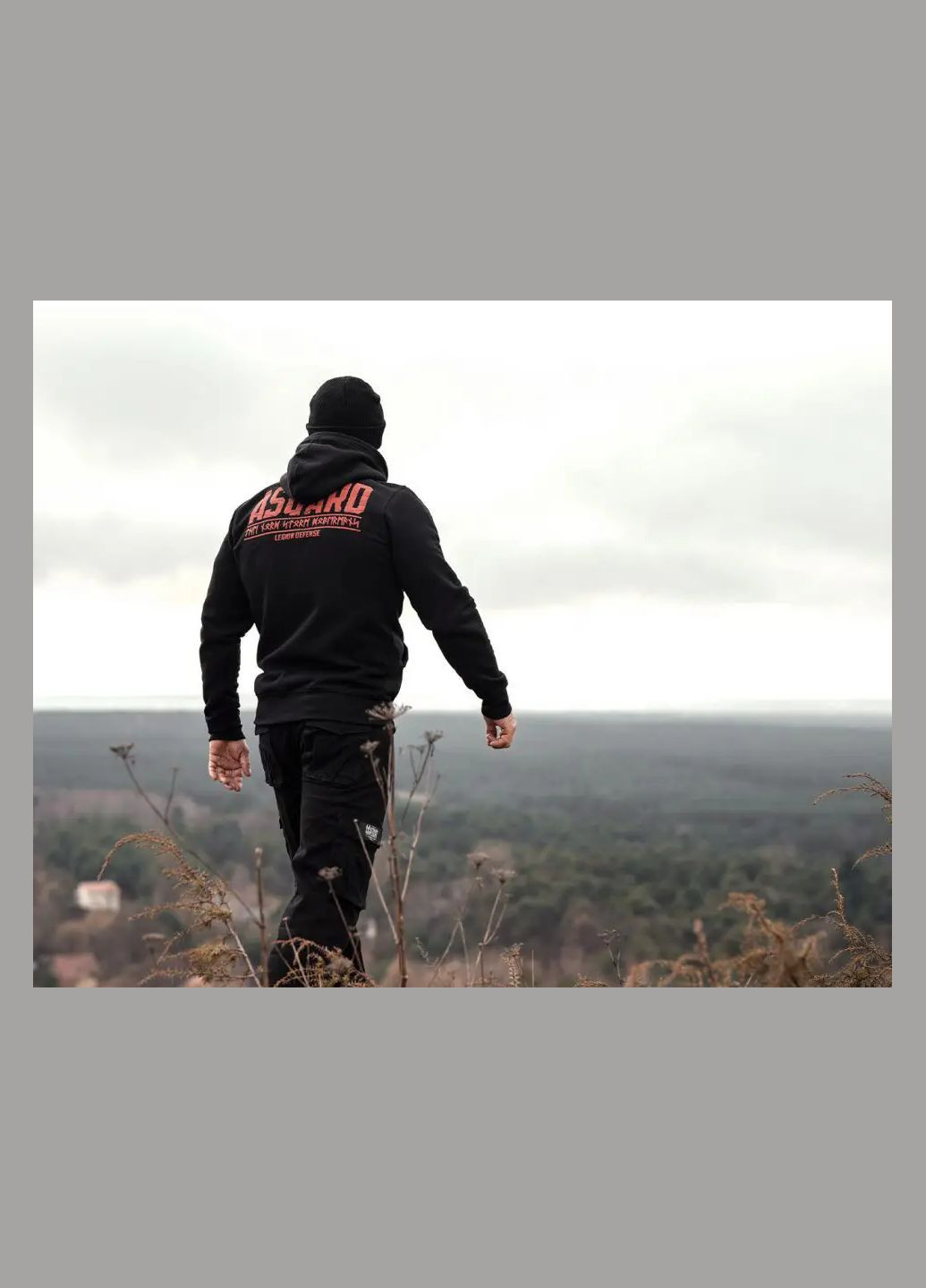 Кофта egion Asgard BZ332ABK Black Dobermans Aggressive (317659564)