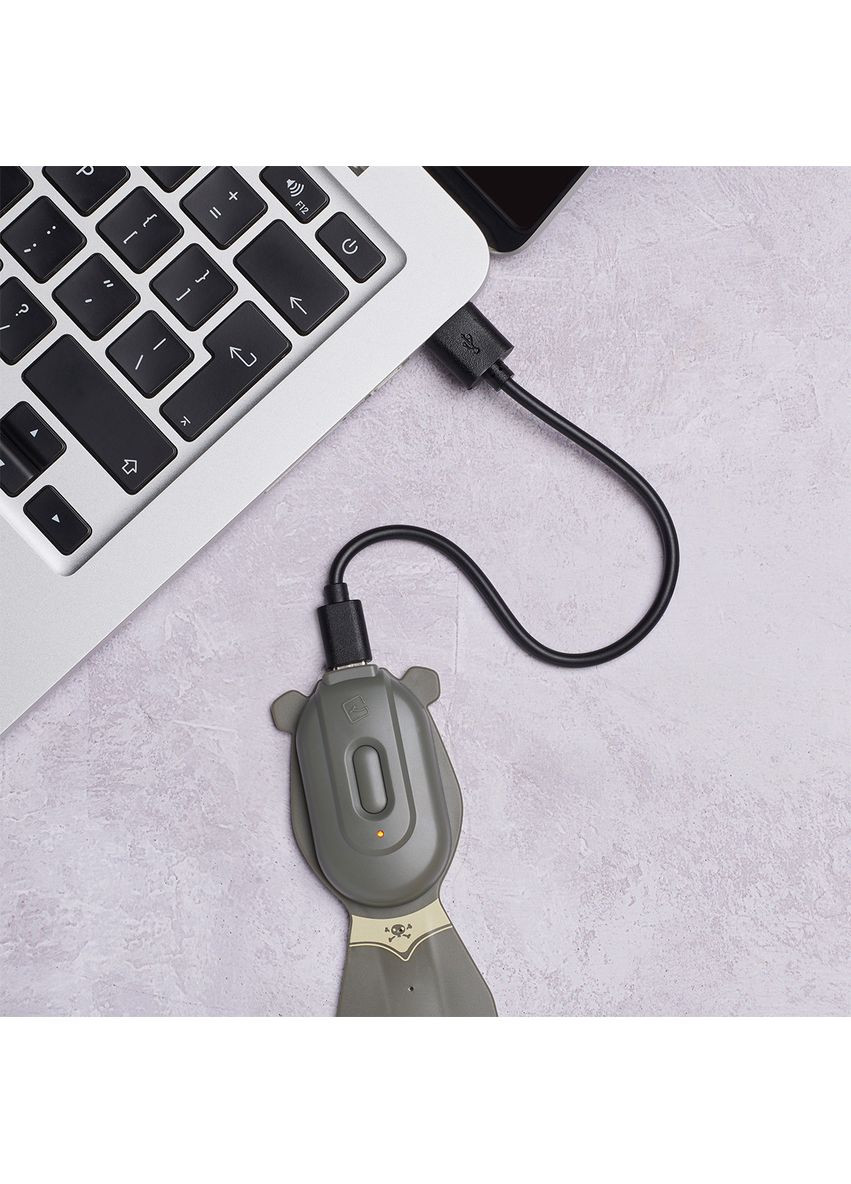 Закладка-ліхтарик Rechargeable — Пірат FLEXILIGHT (342753013)