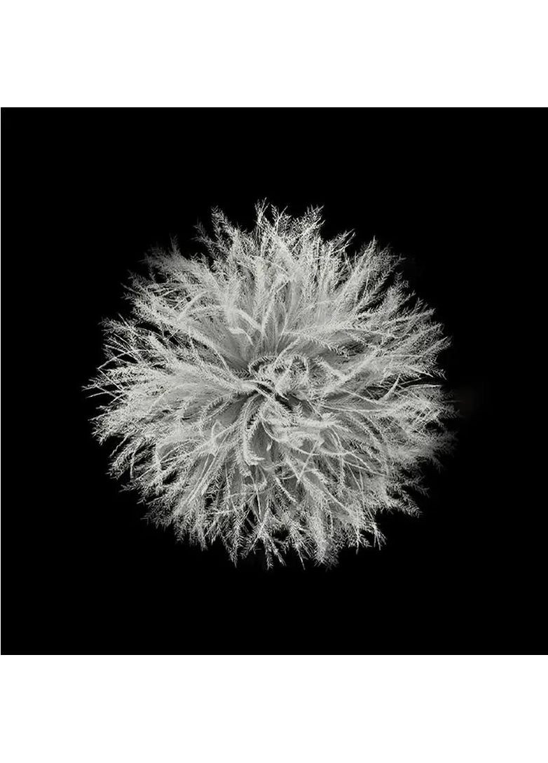 Спальный мешок Snowbird CNK2550WS014 M Dark Brown Naturehike (366420818)