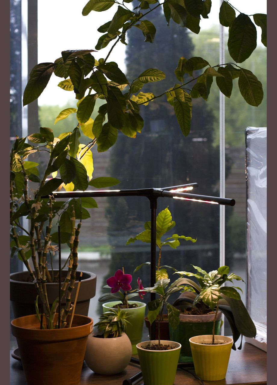 Фитолампа для растений, цветов, орхидей, рассады - фитосветильник полного спектра "Romario" Broody (300778492)