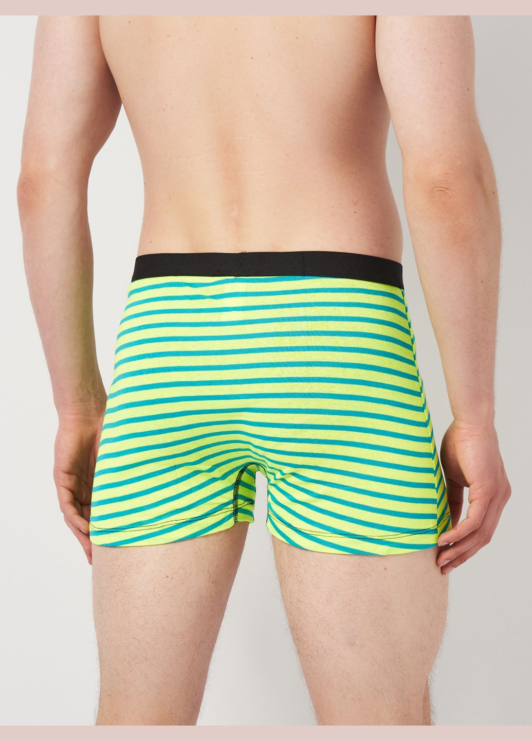 Труси (3шт) Basic Collection (295079760)