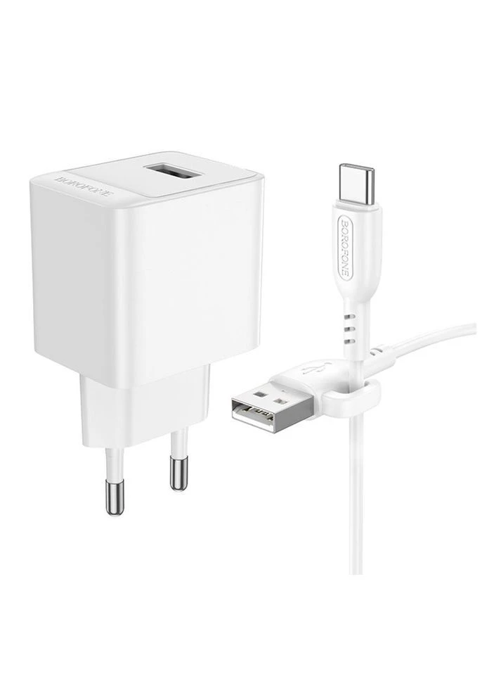Сетевое Зарядное Устройство Borofone BAS11A 1USB 2.1A+USB to Type-C Белый No Brand (391187065)
